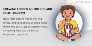 Chewing Forces, Diet, and Lifestyle Habits